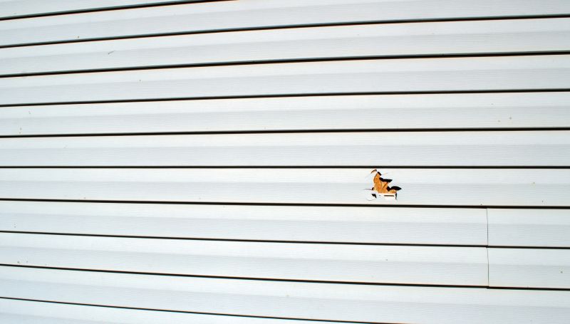 Weathered Vinyl Siding Replacement